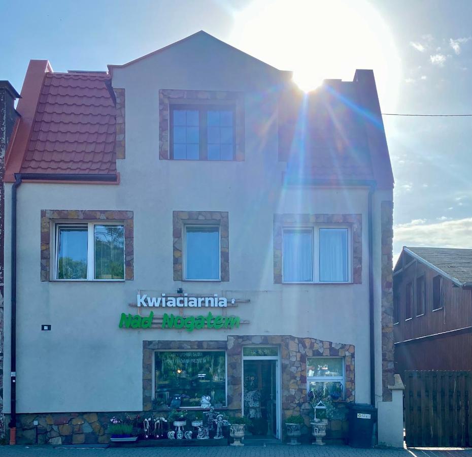 Glowna Apartamenty Nad Nogatem Malbork Bagian luar foto